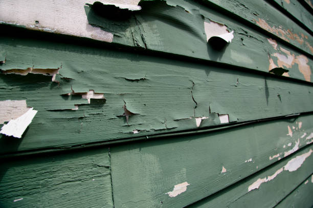 Best Fascia and Soffit Installation  in Evergreen, AL