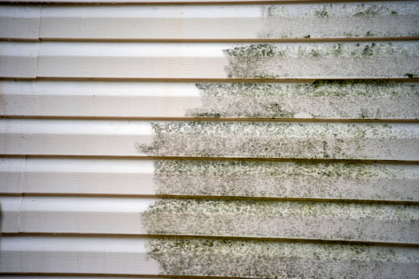 Best Wood Siding Installation  in Evergreen, AL