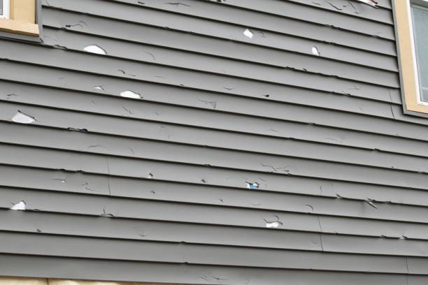 Best Custom Trim and Detailing for Siding  in Evergreen, AL